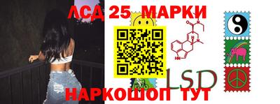 прущие грибы Шахты