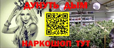 прущие грибы Шахты