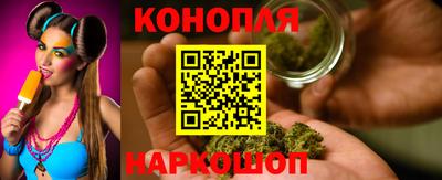 прущие крисы Шебекино
