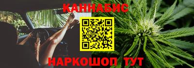 прущие крисы Шебекино