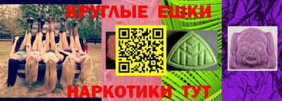 прущие грибы Шахты