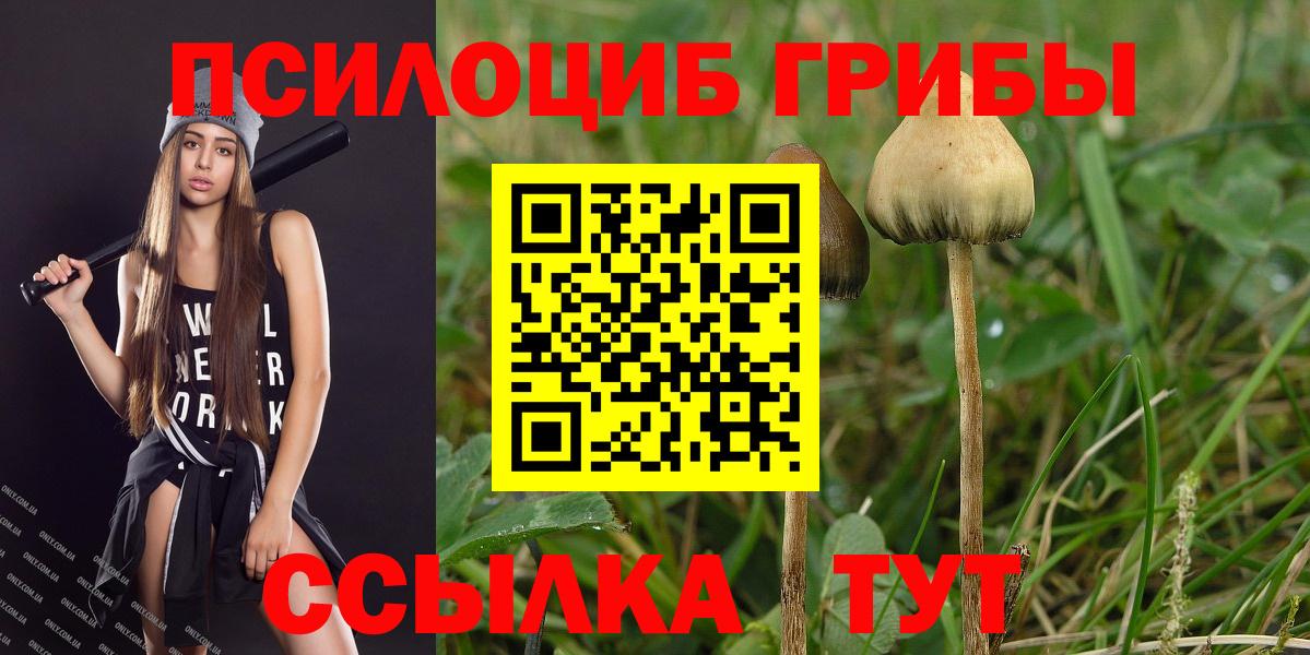 Псилоцибиновые грибы MAGIC MUSHROOMS Тайшет