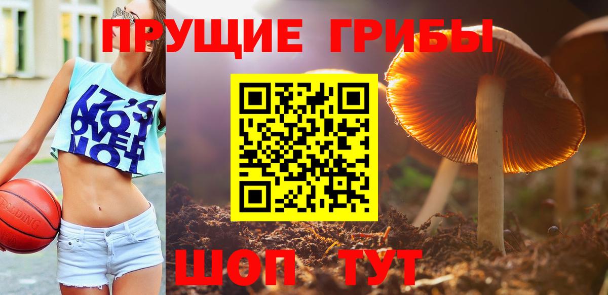 Тайшет  Галлюциногенные грибы мухоморы  Галлюциногенные грибы Magic Shrooms  Вход с VPN 